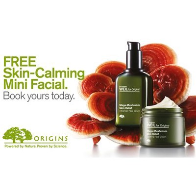 2 Free Samples of Origins Mini Facial