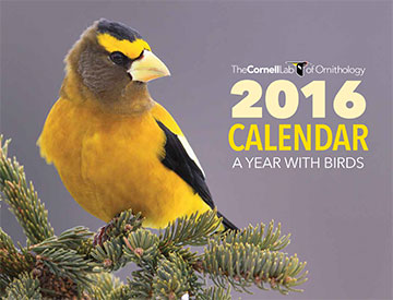 Request 2016 Cornell Lab Bird Calendar