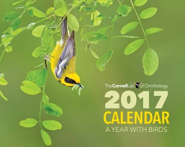 The 2017 Cornell Lab Calendar
