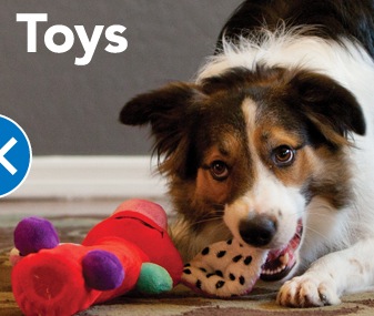 Coupon - Save $2 on PetSmart Pet Toys