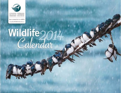Free 2014 Calendar from the Canadian Wildlife Federation
