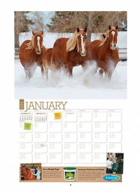 Free Farnam 2014 Ultimate Horse Care Calendar