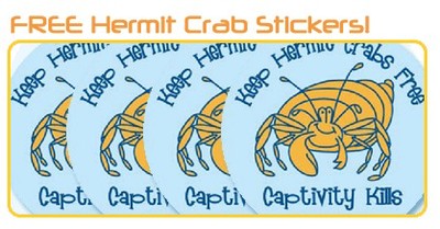 Free Hermit Crab Stickers