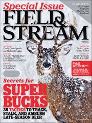 Free Magazine Subscription, Field & Stream