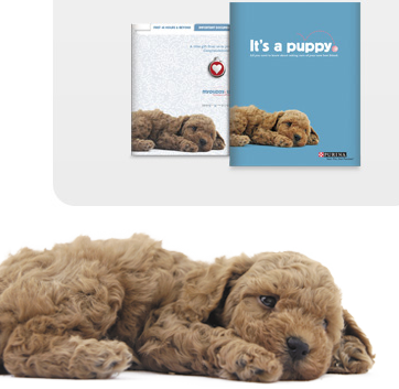 Free MyPuppy Kit from Purina