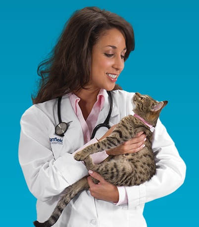 Free Pet Examination at Banfield Pet Hospital