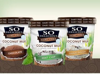 Possible Free Sample of Dairy Free Ice Cream