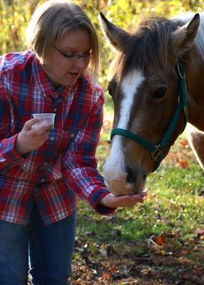 American Animal Nutrition for Horses