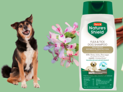 Apply For A FREE Sample Of Our Nature's Shield Flea & Tick Dog Shampoo! 