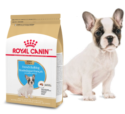 Apply to Try: Royal Canin French Bulldog Puppy Chatterbox