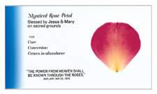 Rose Petal Sacrament