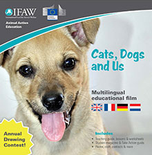 Free  Cats, Dogs and Us Video for Teachers