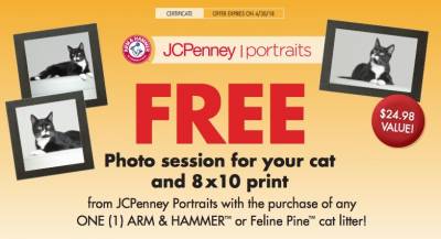 FREE Photo session for your cat