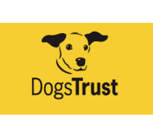Free Doggie Microchipping from Dogs Trust
