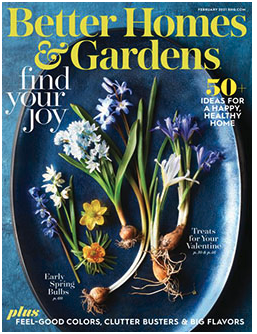 Free 2-Year Subscription to Better Homes and Gardens Magazine