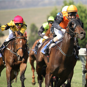 Request Free Ascot Horse Racing Day Tickets