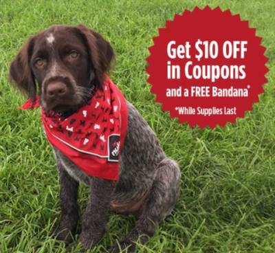 Free Bandana from Nulo.com