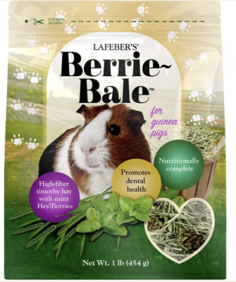 Free Berrie-Bale Mint for Guinea Pigs 1 lb