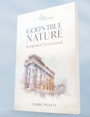 Free Book - God's True Nature Scriptural Devotional (coupon code: 2TBB)