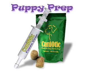 CaniOtic or Puppy Prep Probiotic Dog Treats 