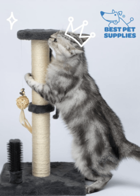 Free Catify Climb 'n' Scratch Post 