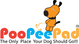 Free Dog Pee Pads