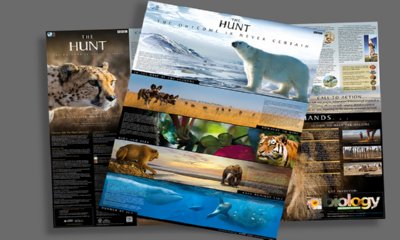 Request Free The Hunt Poster