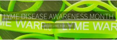 Free Lyme Warrior Wristband