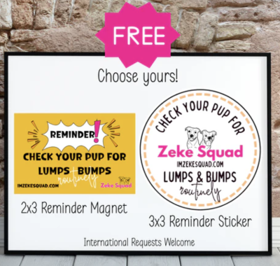 FREE magnet or sticker