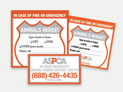FREE Pet Safety Pack from the ASPCA