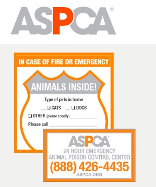 free Pet Safety Pack