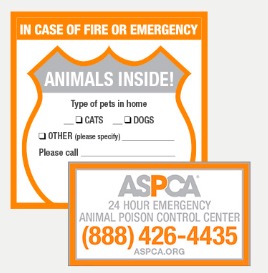 Free Pet Safety Pack