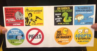 Request Free Peta Latino Stickers