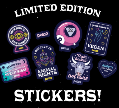 Free peta2 oracle cards, stickers, and other cosmic surprises!