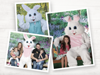Free Photo with The Easter Bunny