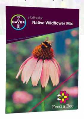 Free Plant Wildflower Seeds Packets