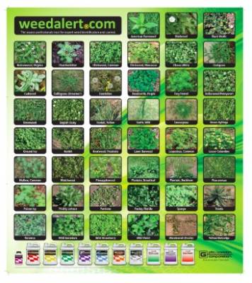 Free Poster from Weed Alert