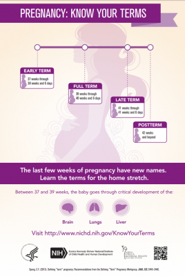 Free Posters from the NICHD - Know Your Terms