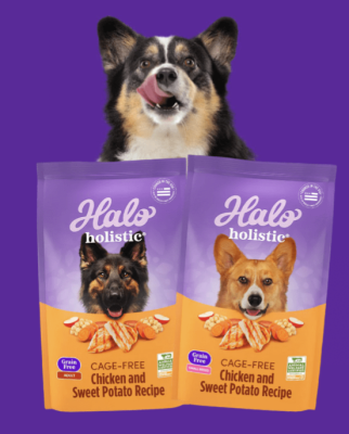 FREE sample of Halo Holistic Dog Food