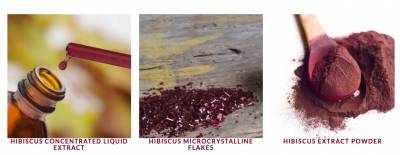 Free Sample of Hibiscus Products