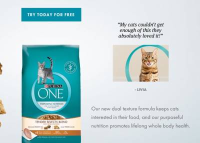 Free Sample of Purina One Dry Cat Food