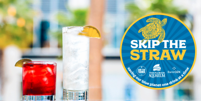 Free Skip the Straw decal for your car or business