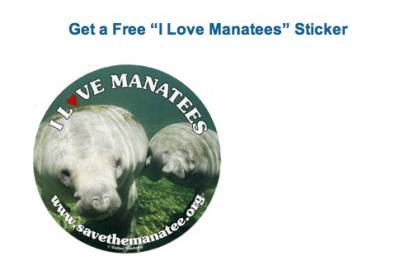 I Love Manatees