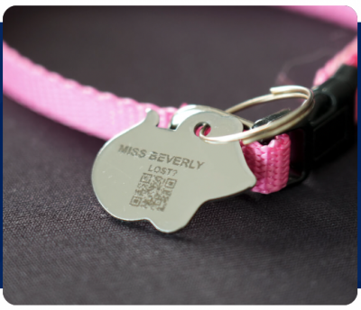 FREE Tabby ID Tag