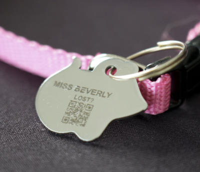 FREE Tabby ID Tag