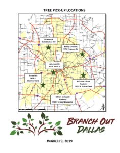Free Tree for Dallas Residents