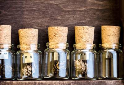 Free Wine Cork USB Flash Drive