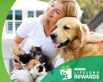 Join Iams Life-Long Rewards-Free, Receive Special Offers, Coupons and Pet Tips!