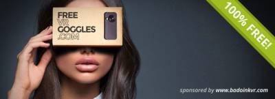 Free Pair of Google Virtual Reality Goggles