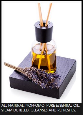 Pretty Foo Foo: Free Aromatherapy Lavender Oil
